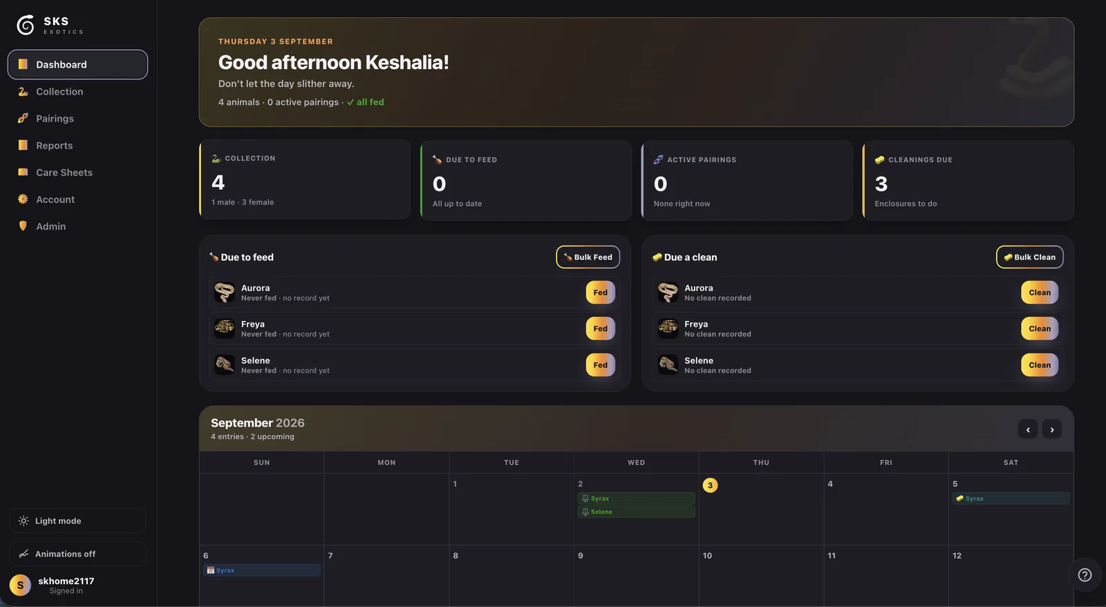 The dashboard